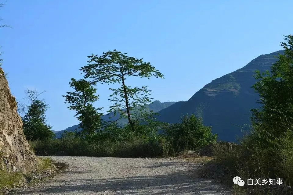 多图甘肃陇南礼县白关乡的夏日美景全在这了约起