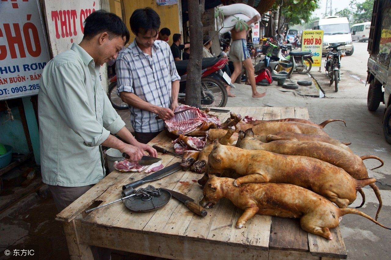 越南真实生活:吃狗肉定时间,生活在火车轨道旁家门口上火车