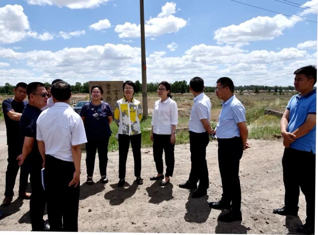 郭蕾,邓志蓉一行通过实地踏勘,查看规划图纸,听取汇报等方式对古店镇