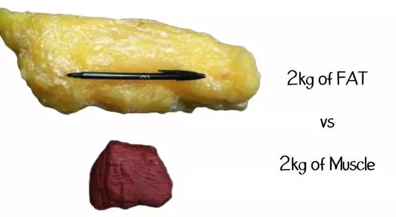 15斤肉有多大一块图片图片