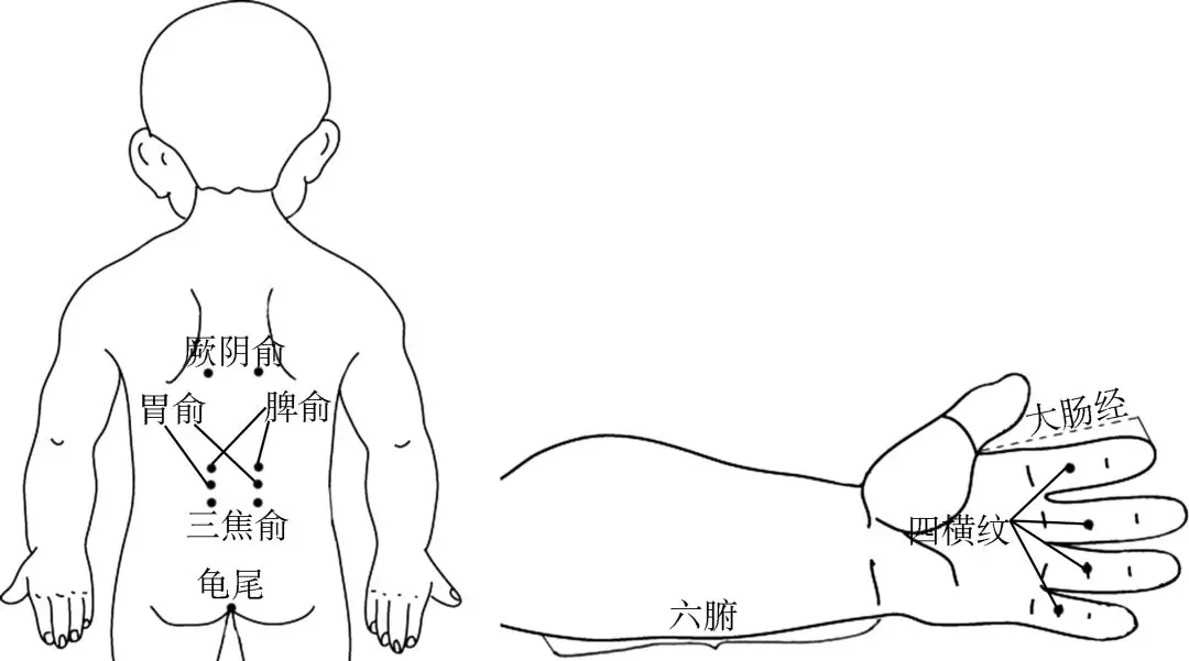 厥阴俞的准确位置图图片