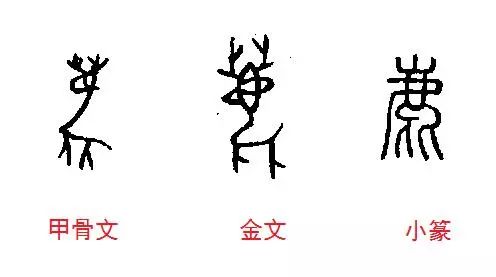 早期中国文字中的鹿字