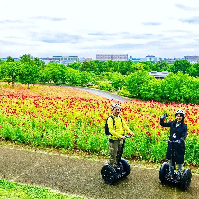 北海道 一个适合跟恋人去旅行的地方