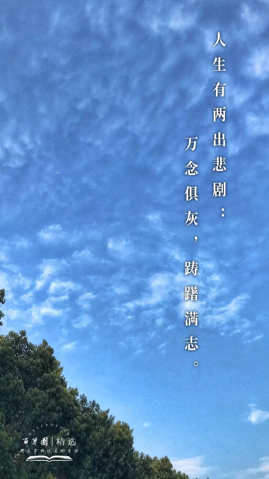 生活禅丨人生有两出悲剧:万念俱灰,踌躇满志