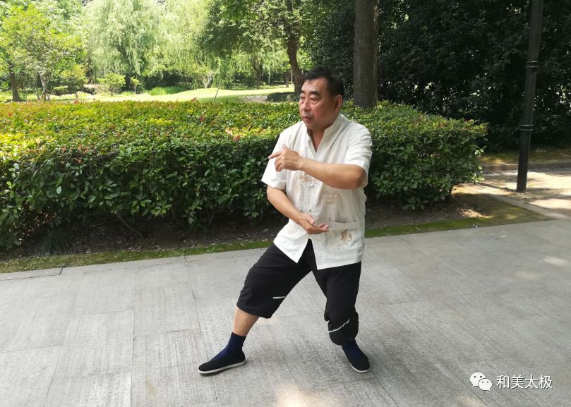 辨识太极拳"拳架,劲路,拳理"操,舞,拳"