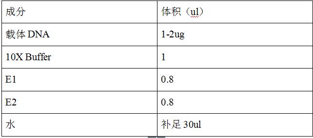 基因|知识分享：基因定点突变