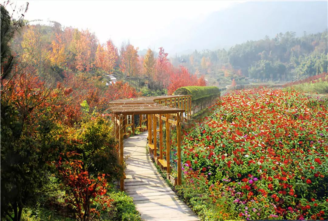 旅遊 正文 座標:重慶市銅梁區南城街道黃門村 特色景點:賞花,採摘