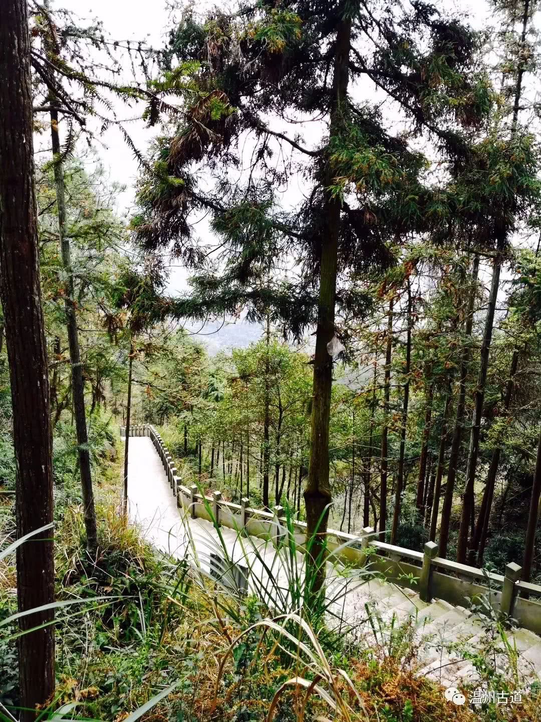 仙泉碧水賞清波聖蹟蒼山觀靚景再登瑞安福泉山