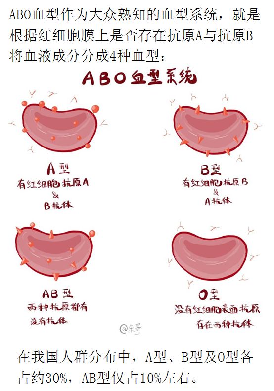 世界献血者日——abo血型知多少