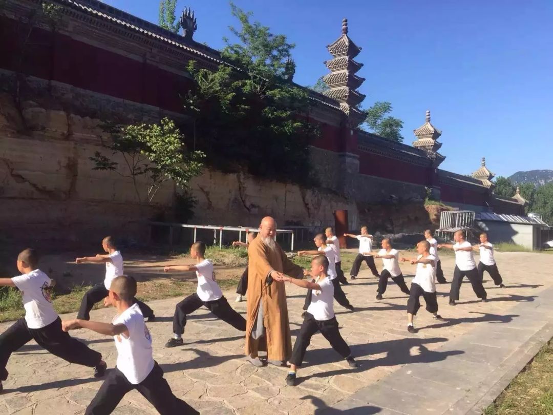 會盟少林【參加開營儀式;觀摩武術訓練;觀禮少林武術表演】●少林文化