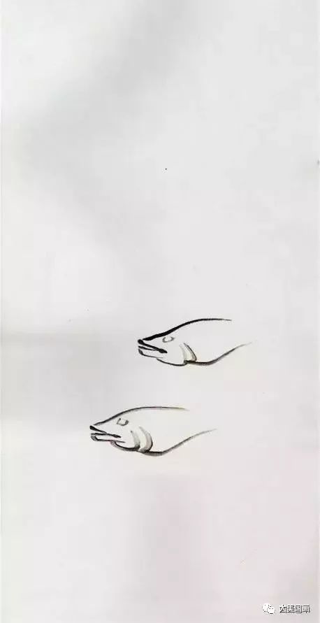 鱼翅画法图片