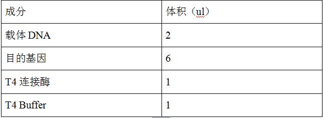 基因|知识分享：基因定点突变