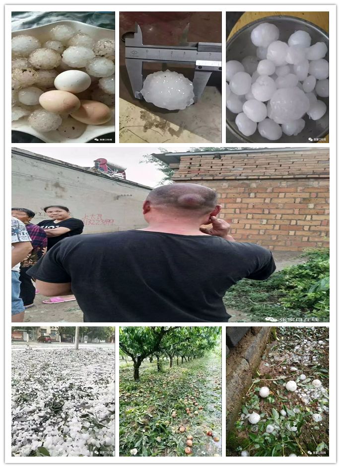 贵州冰雹砸死人图片