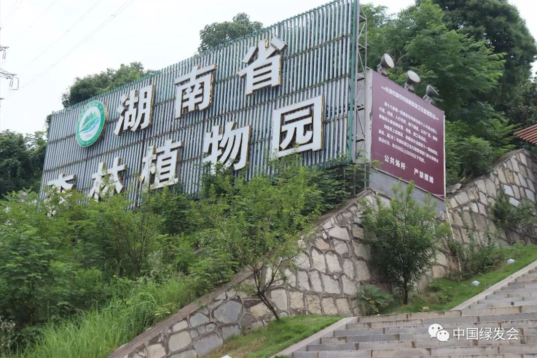 湖南省植物园大门图片图片