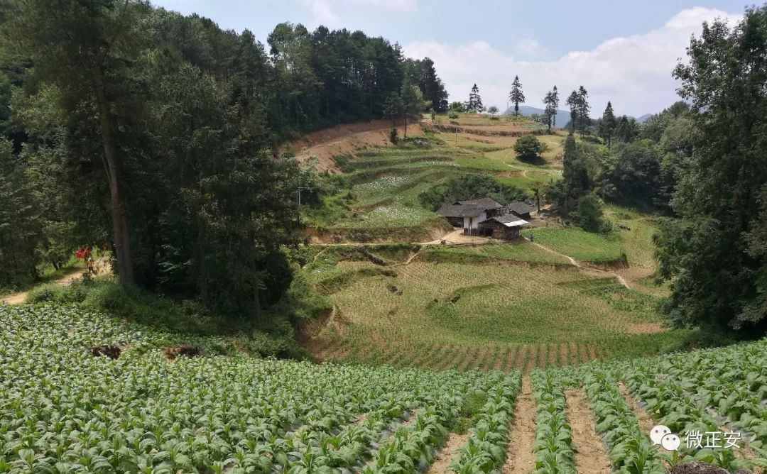 庙塘镇 : 宝山寻宝记