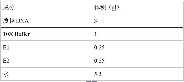 基因|知识分享：基因定点突变