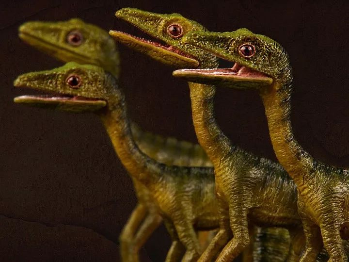 侏罗纪世界2恐龙种类图片