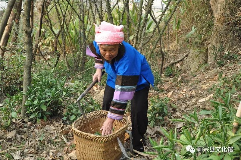 非遗匠人壮族服饰织染传统手工技艺刺绣传承人余桂香