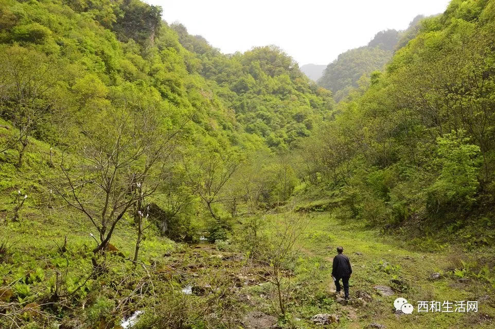 多图甘肃陇南西和太石河石墙坝风光悬崖峭壁如刀削号称一线天