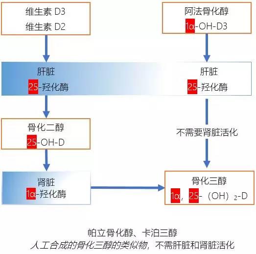 帕立骨化醇胶囊图片