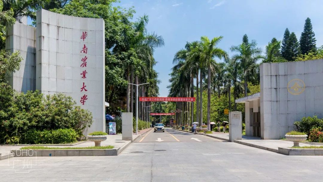 华南农业大学钟楼图片