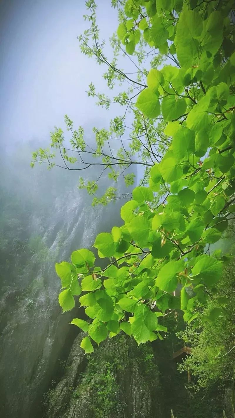 第四句,窮則變,變則通,通則久《周易·繫辭下》中