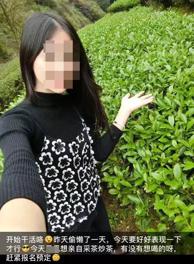 安溪卖茶叶女郑莲英图片