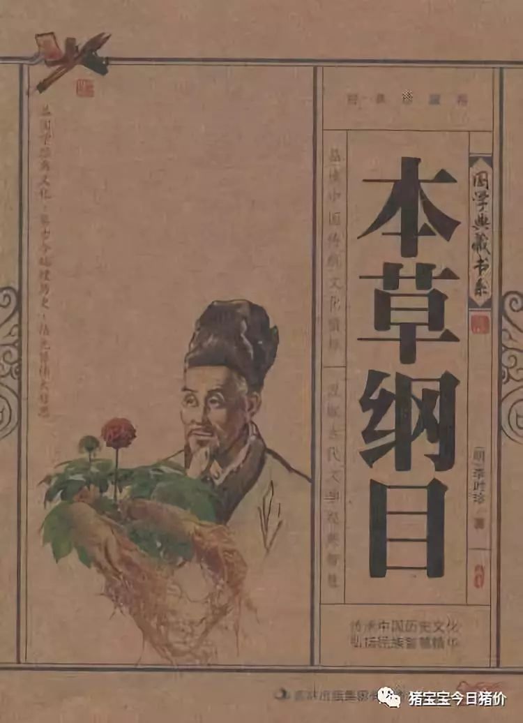 李时珍《本草纲目》神药:母猪屎