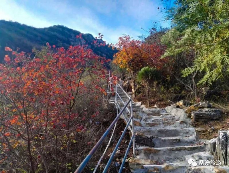 仙西山雨林谷图片