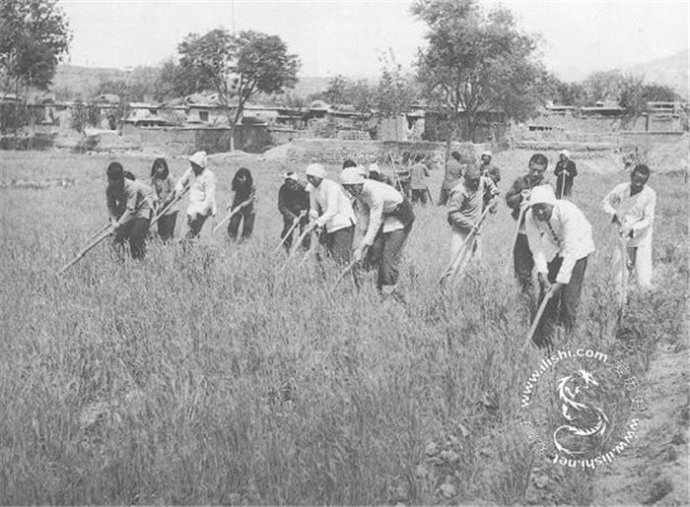 老照片上的1947年土地改革:斗地主,分田地