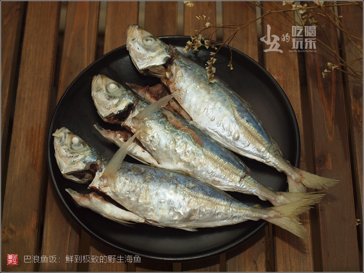 巴浪魚飯:鮮到極致的野生海魚