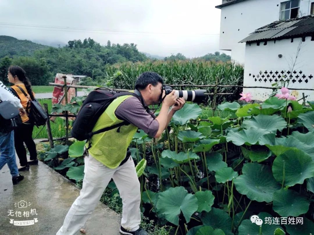 旅遊 正文 人人都用手機記錄下了這些美麗的荷花, 把照片發朋友圈