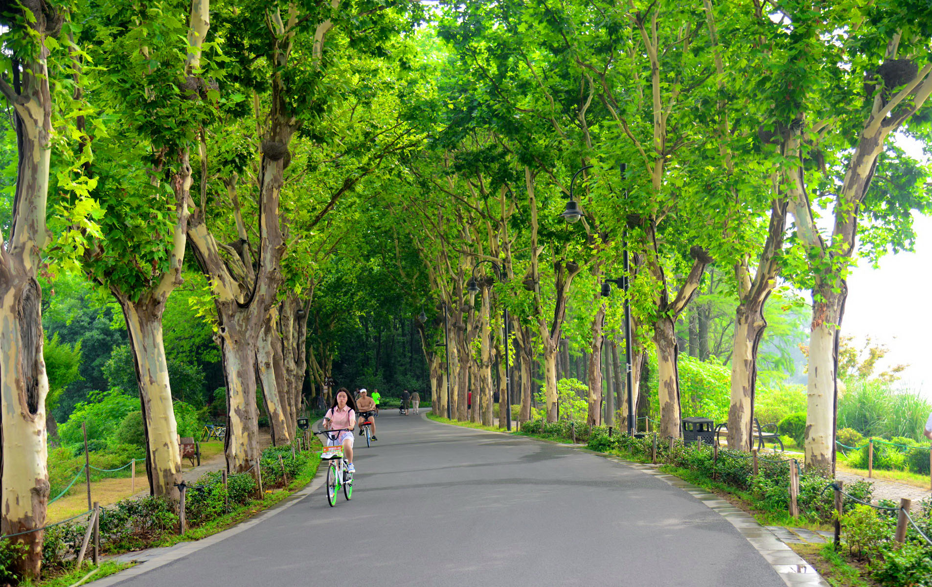 騎行東湖綠道,一路風景一路歌