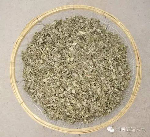 蘄艾於每年五月端陽節1艾絨手工製作過程故《孟子·離婁》早有