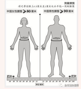 腰围较胸围小20厘米