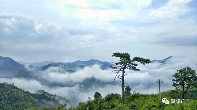 「雅读」大山深处叶家村