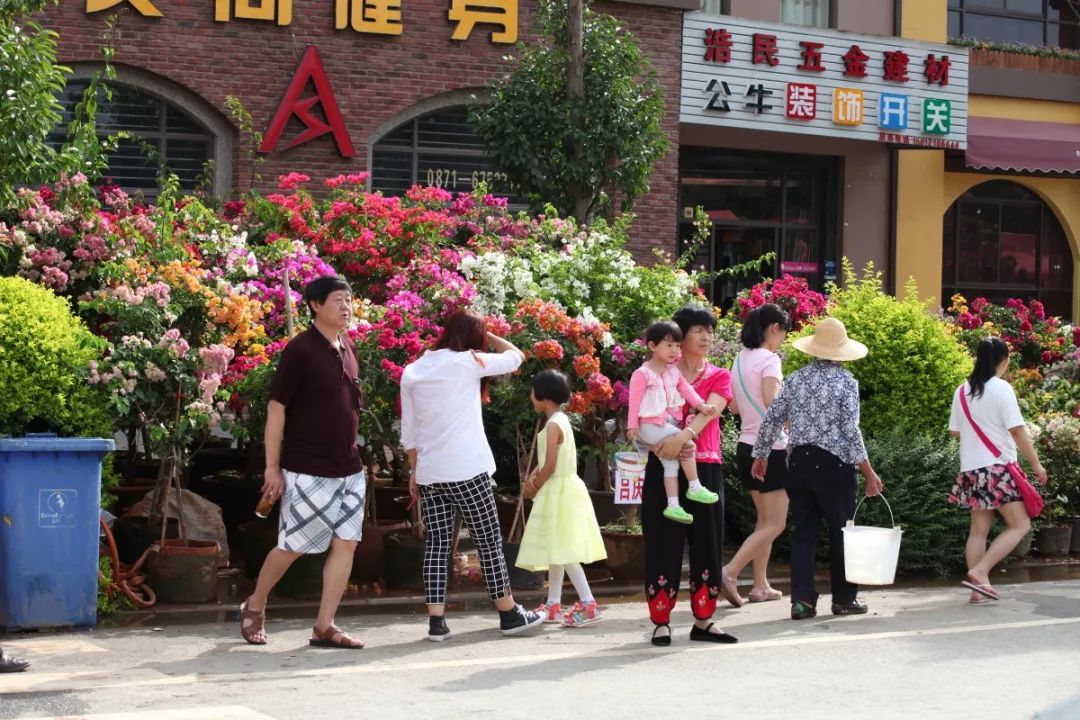 《遇见宜良—花街节主打歌,你唱过了吗?