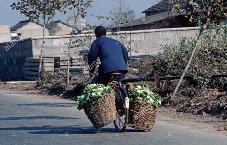 老照片1979年的上海虹桥到处是绿油油的菜地