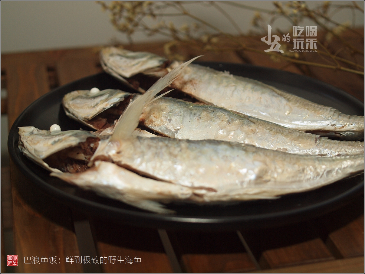 巴浪魚飯:鮮到極致的野生海魚