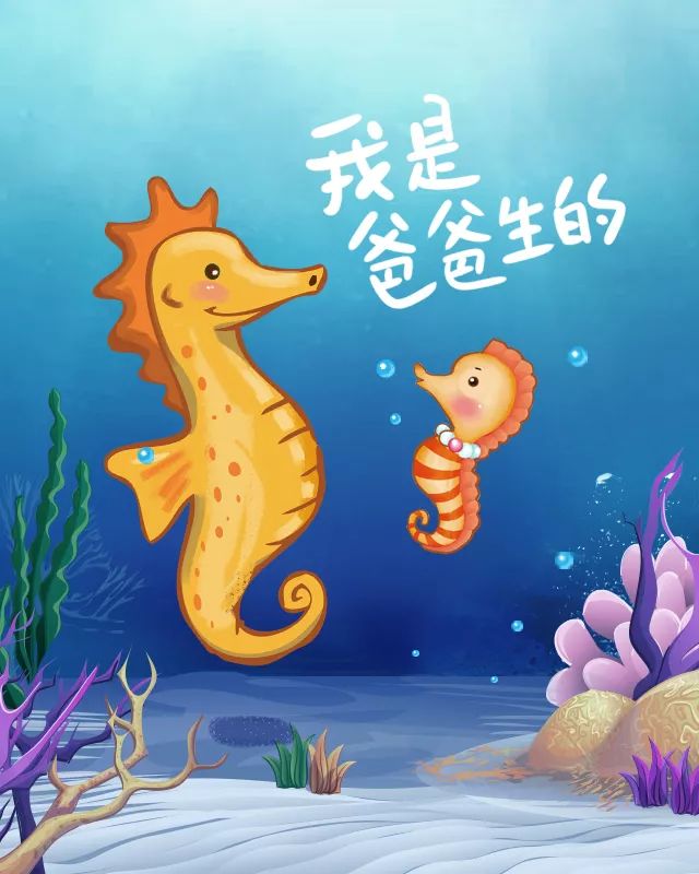 海马爸爸照顾海马宝宝图片