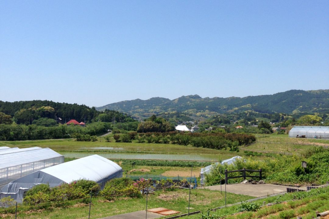 賣菜還不算,muji 又開了農場!種個地都這麼小清新