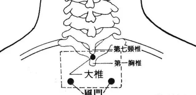 为什么说大椎穴是人体最重要的穴位