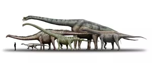 甲龙:ankylosaurus阿根廷龙:argentinosaurus马门溪龙