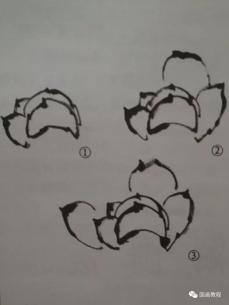 以中锋按图画出花形,从花瓣尖部画起,一左一右,两笔画成,谓之"单勾.