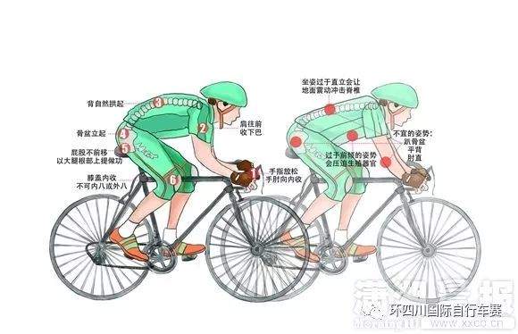 骑自行车正确姿势图解图片