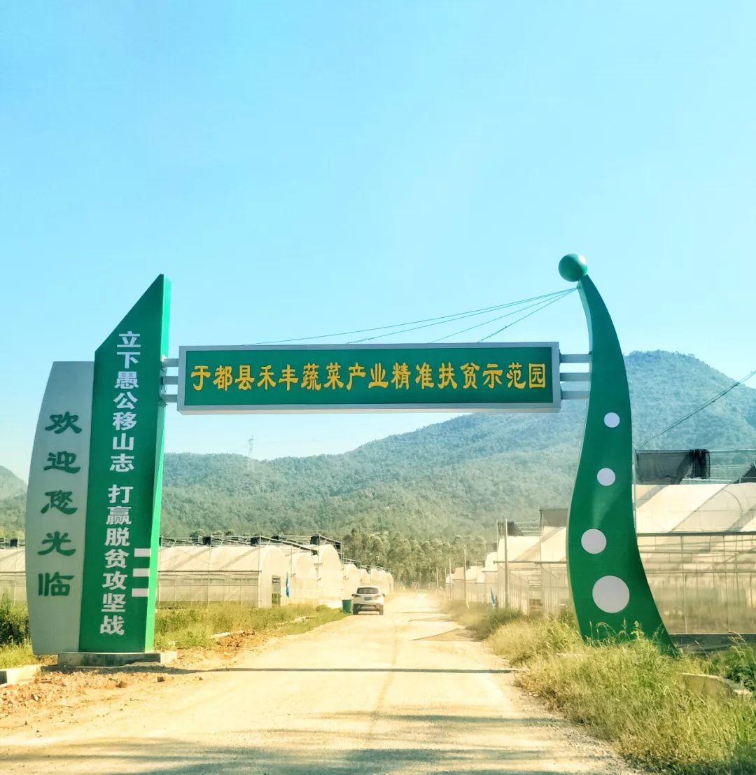 蔬菜基地标语图片