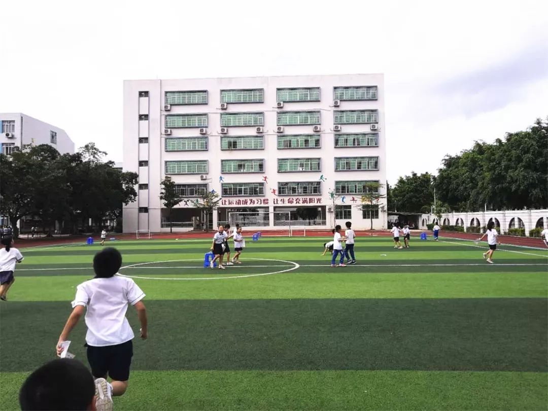 新兴县实验小学图片