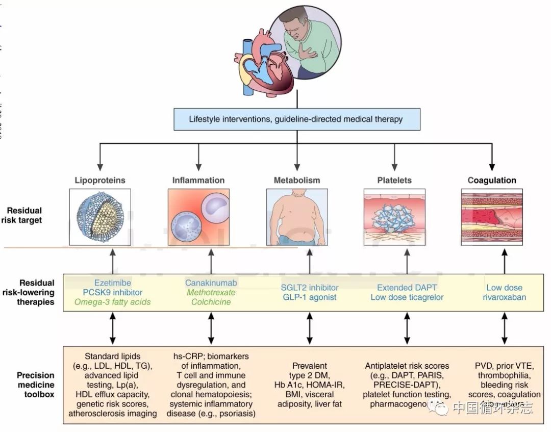 circulation刊發文章提出心血管病精準治療概念框架:針對脂蛋白,炎症