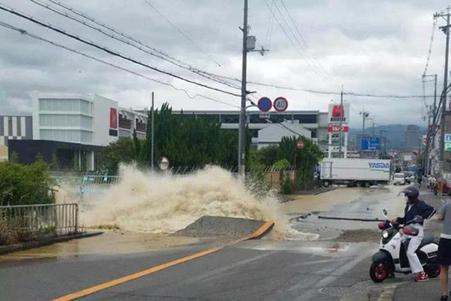 大阪6 1级大地震 京都鹿群离家出走 但猫咪等动物的表现很淡定