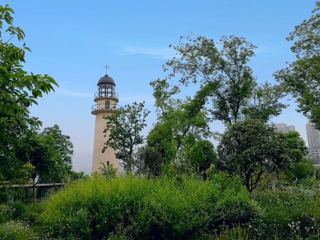 重慶主城居然藏了這樣一座唯美花海金海灣濱江公園好多重慶人還不知道